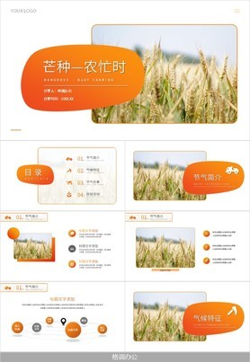 橙色简约风中国二十节气芒种节日农忙时PPT模板