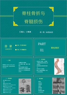 绿色简约脊柱骨折与脊髓损伤的诊断治疗PPT课件