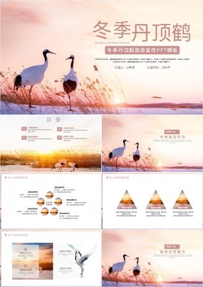 小清新简约风冬季丹顶鹤旅游宣传动态PPT模板