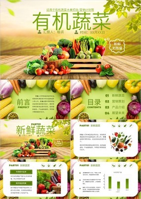 绿色简约风有机蔬菜水果招商营销计划PPT模板