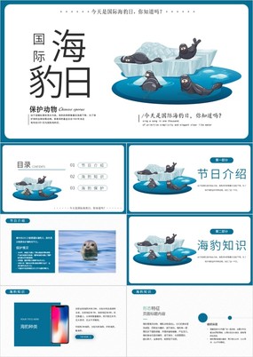 蓝色卡通风国际海豹日宣传节日介绍PPT模板