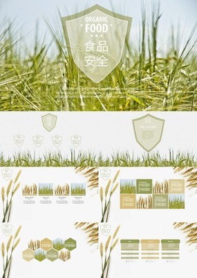 小麦清新背景食品安全宣传工作报告PPT模板